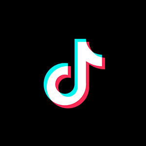 Followers TikTok